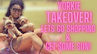 DOGS TAKE OVER VLOG | DITL OF TWO YORKIES!