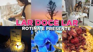 VLOG  ROTINA DO DIA/ GANHEI UMA LINDA ORQUÍDEA/ ESCLARECENDO  DÚVIDAS DE INSCRITOS