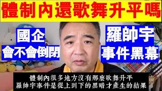 翟山鹰：體制內還歌舞升平嗎丨國企相關行業會不會倒閉丨羅帥宇事件黑幕