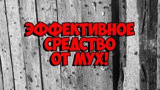 ЛУЧШЕЕ и Дешёвое средство от МУХ! / КАК уничтожить МУХ!