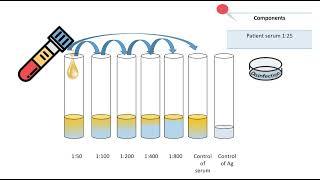 Tube agglutination test