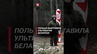 Польша обостряет ситуацию на границе! Варшава выставила ультиматум! #польша #граница #беларусь