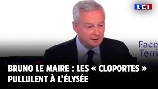 Bruno Le Maire : les « cloportes » pullulent à l’Élysée