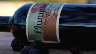 2018 PlumpJack Estate Cabernet Sauvignon, Oakville