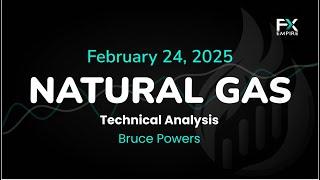 Natural Gas Price Forecast Today, Technical Analysis (February 24): NatGas Pulls Back After Rally