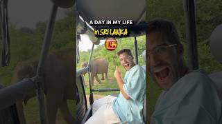 A normal day on my trip to Sri Lanka   #srilanka #travel #vlog