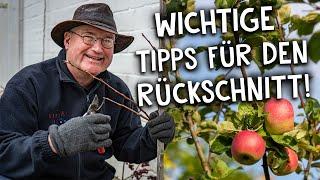 Apfelbaum richtig schneiden ️- Tipps und Tricks für einen sauberen Rückschnitt