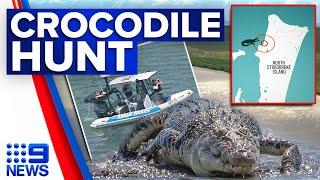 Large crocodile spotted in popular Queensland swimming spot | 9 News Australia