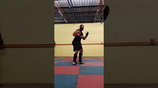 kiba dachi into step across side kick