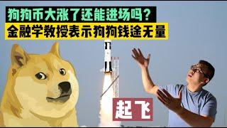 狗狗币大涨了，还能入场吗？主流大学金融学教授突然说狗狗币会涨到很高的价位