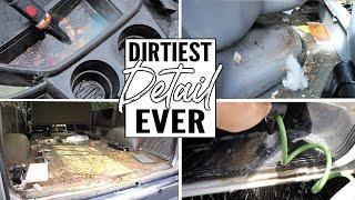 DIRTIEST Car Cleaning EVER! Complete Disaster Car Detailing Transformation