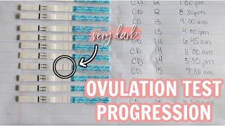 OVULATION TEST LINE PROGRESSION | how to read ovulation tests & know peak ovulation!