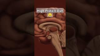 High Protein Diet #fitness #activelifestyle #mentalhealth #motivation#fitnessmotivation #stayactive