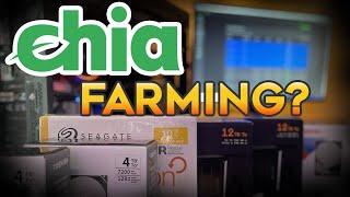 Should I Farm Chia Crypto (XCH)? Beginner Strategies, Pools, Hard Drives, SSD's and Budget Plotter