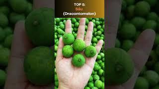 Top 10 trái cây độc lạ ở Việt Nam! #lamanotv #traimangcut