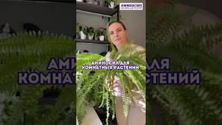 Аминосил для комнатных растений #аминосил #подкормка #сад #цветы #цветыдлядома #комнатныерастения