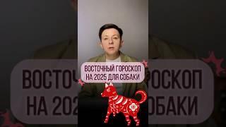 Собака – Прогноз по году рождения на 2025 год