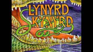 Pickin' on Lynyrd Skynyrd  ''Sweet home Alabama''