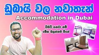 Dubai Accommodations | UAE Room Rent | Dubai Bed Space | Visit Visa | ඩුබායි කාමර මිල ගනන් |SL TO UK