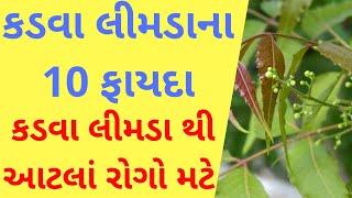 કડવા લીમડાના 10 ફાયદા । આટલા રોગો મટે જુઓ । Benifits of Neem । Gujarati Ajab Gajab।