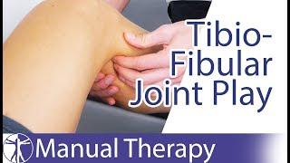 Proximal Tibiofibular Joint | Joint Play