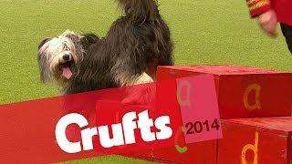 Heelwork to Music Competition | Day Two | Crufts 2014