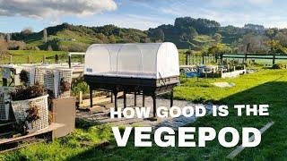 Testing the Vegepod: Worth the Investment?