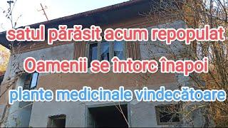 Un sat parasit repopulat/Plante medicinale vindecătoare. Farmacia naturii