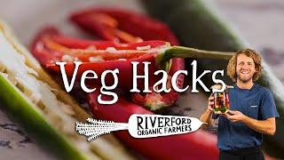 Chilli | The ULTIMATE Fermented Chilli Sauce | VEG HACKS