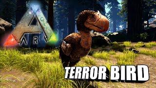 Taming A Terror Bird | Ark Survival Evolved | The Island