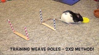 Training Weave Poles - 2x2 channel method! (w/Cream!)