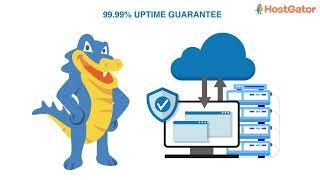 HostGator India - Web Hosting Made Easy & Affordable