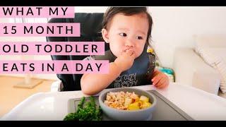 WHAT MY 15 MONTH OLD TODDLER EATS IN A DAY | FOOD DIARY