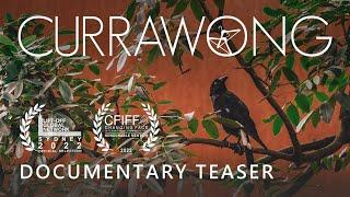 Currawong | Short film Teaser