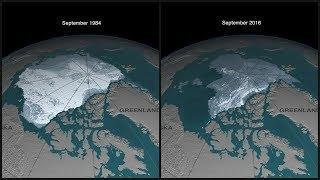 Arctic Sea Ice 1984 - 2016 (4K)