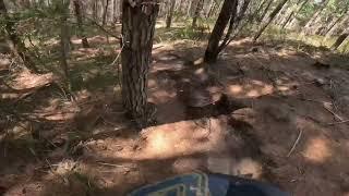 My first run down the blue tech trail G6 at creswick