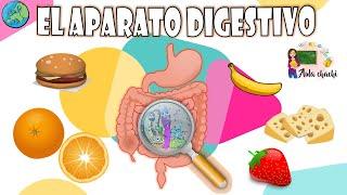 El Aparato Digestivo | Aula chachi - Vídeos educativos para niños