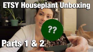 Etsy Unboxing Parts 1 & 2  - House Plant Haul - Cactus and Tropical Plants From Etsy