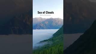 Sea of Clouds.                         #clouds #seaofclouds #jungle #caspian #forest