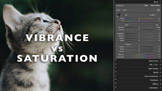 Vibrance vs Saturation Explained - What's the difference?