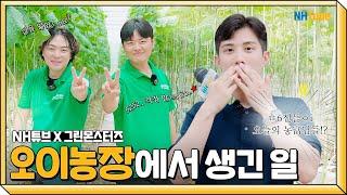 10,000주의 오이 속에서 마주친... 꽃보다 농부님들⁉️ㅣ6시 내농협 그린몬스터즈 편 | NH농협은행 X 그린몬스터즈