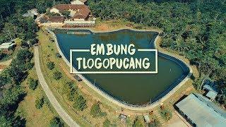 🟠EMBUNG TLOGOPUCANG ~ EMBUNG TLOGOPUCANG KABUPATEN TEMANGGUNG JAWA TENGAH - DJI PHANTOM 4 PRO