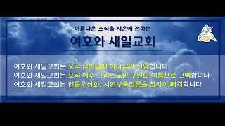 새일교회 | 새일교단