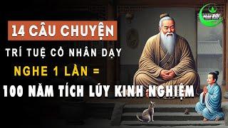 14 Câu Chuyện 14 Bài Học Trí Tuệ Nghe 1 Lần Bằng Cả 100 Năm Tích Lũy Kinh Nghiệm Sống | Triết Lý Hay