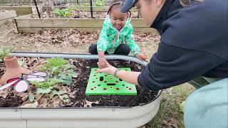 Early Spring Clean Up & Chaos Gardening | Garden Vlog