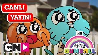  CANLI  | GUMBALL | 1. Sezon | Cartoon Network Türkiye