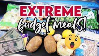 EXTREME BUDGET MEALS  5 FAMILY DINNERS FOR $25  @Jen-Chapin & @thesimplifiedsaver $5 DINNERS!