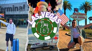 LAS VEGAS DAY 1-2 ️| Travel Day, Excalibur Tour, Flyover, Big Apple Coaster & LOVE Cirque Du Soleil