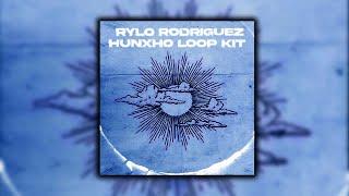 [15+] (FREE) Hunxho / Rylo Rodriguez Loop Kit 2024 "CAN'T HIDE" (NoCap, Pain, Sample Pack)