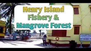 Henry's Island Fishery | Henry Island Watch Tower | Sundari Complex Resort | Mangrove Forest